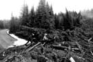 Avalanche debris